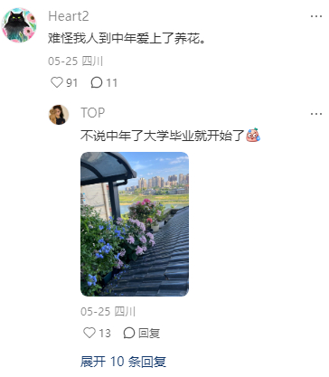 怪不得我爱玩种地游戏 