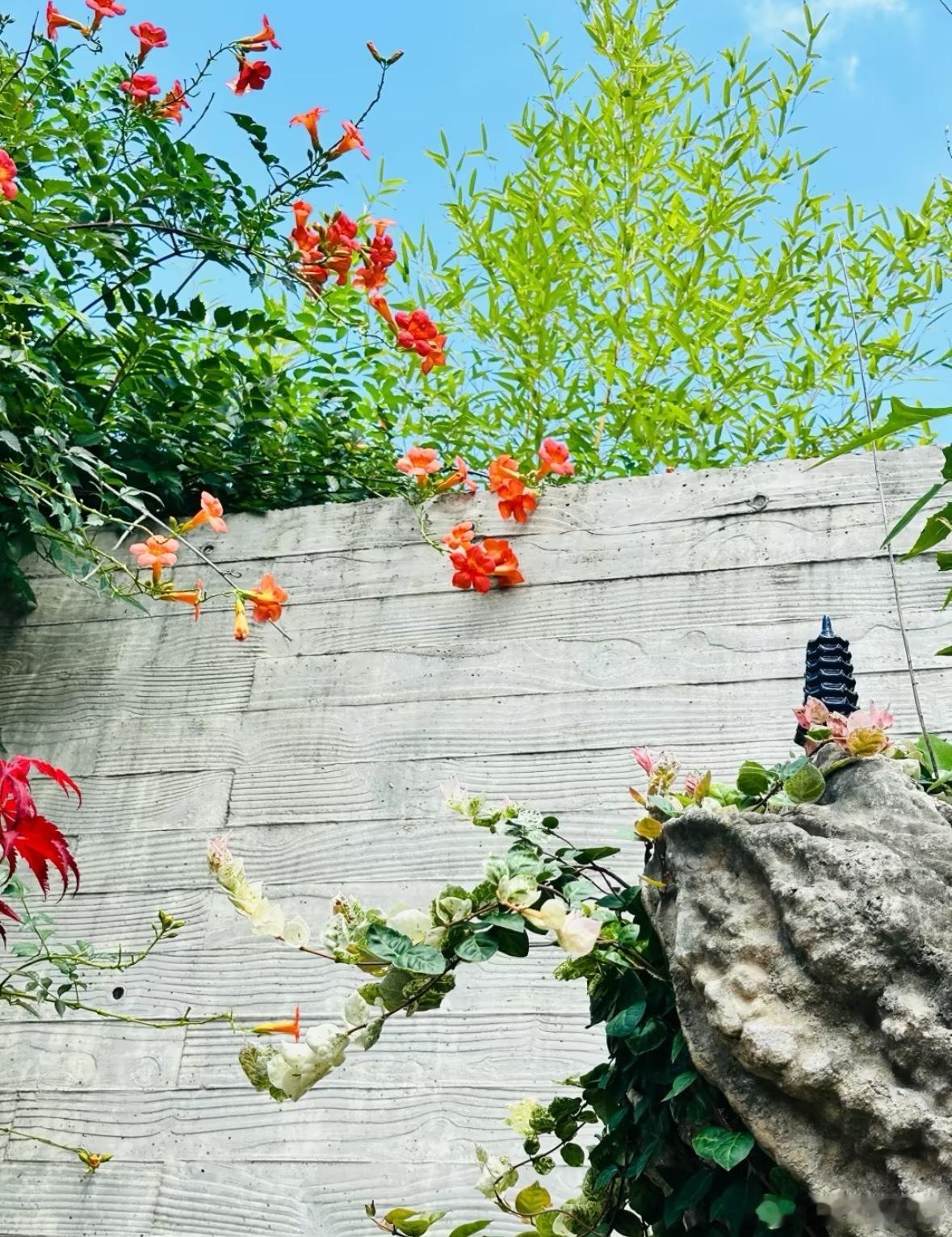 35岁到55岁是命理八字走大运的最好时机，太早容易狂妄，太晚享受不了人生。有一天