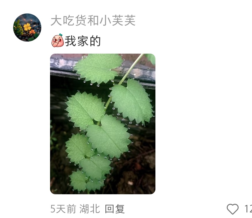 生活里偶遇的秩序感