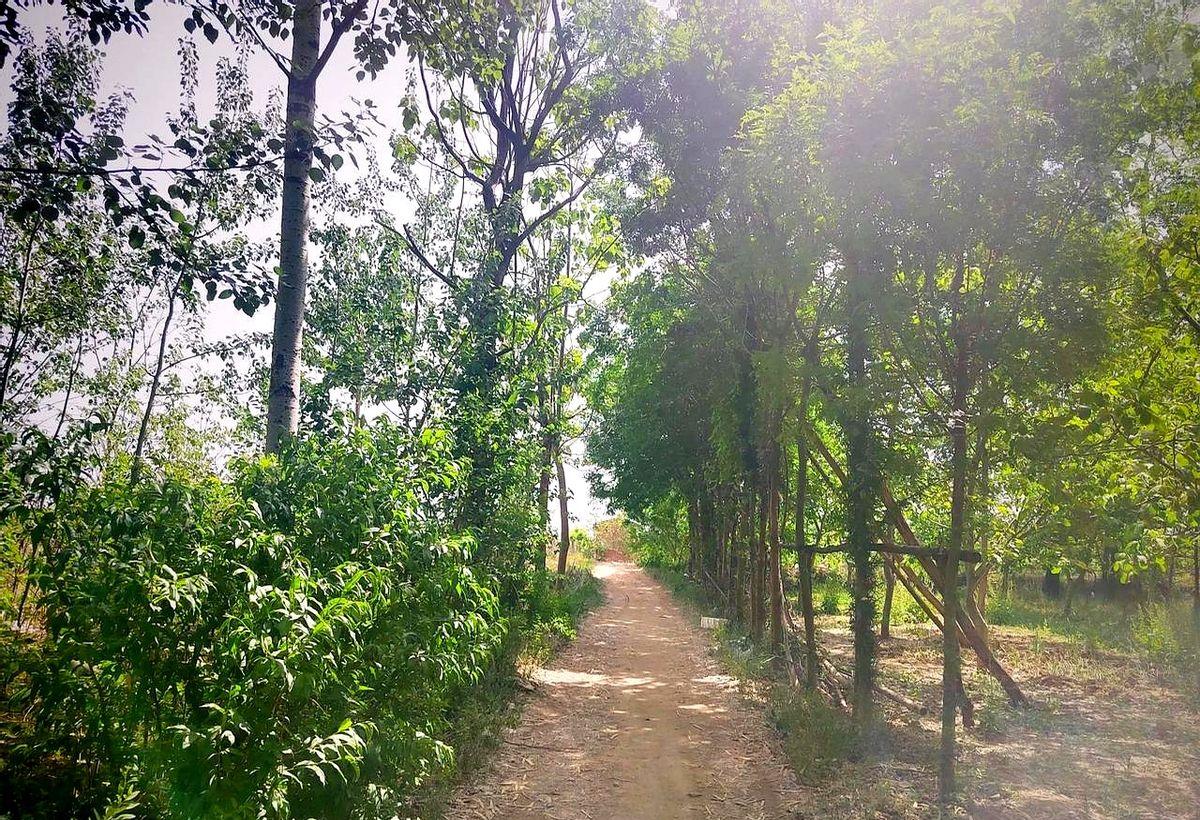 老伴捡废品太累，他深夜走失都没人发现。

这种“看不见的风险”，正在每个家庭上演