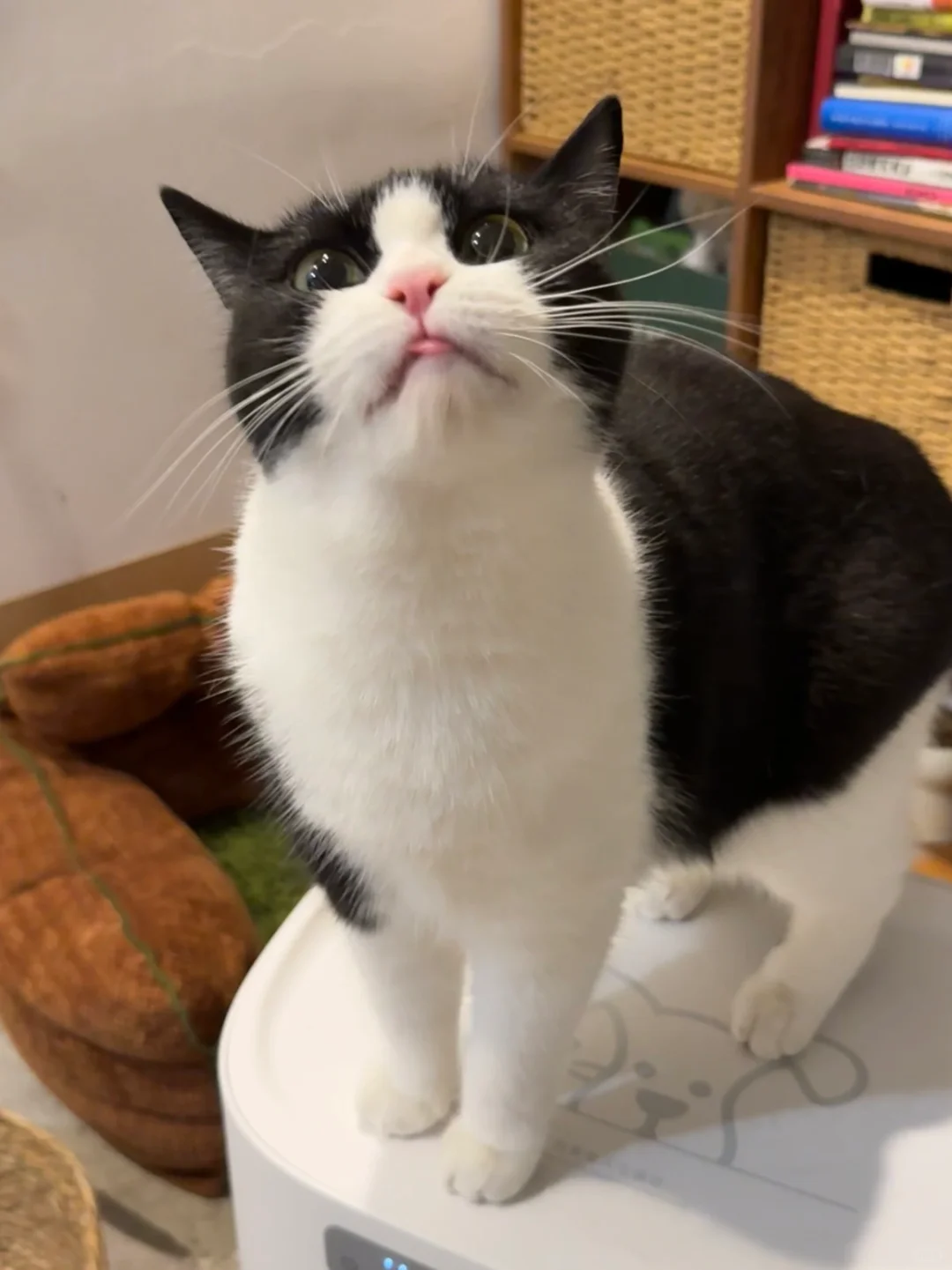 略略略～