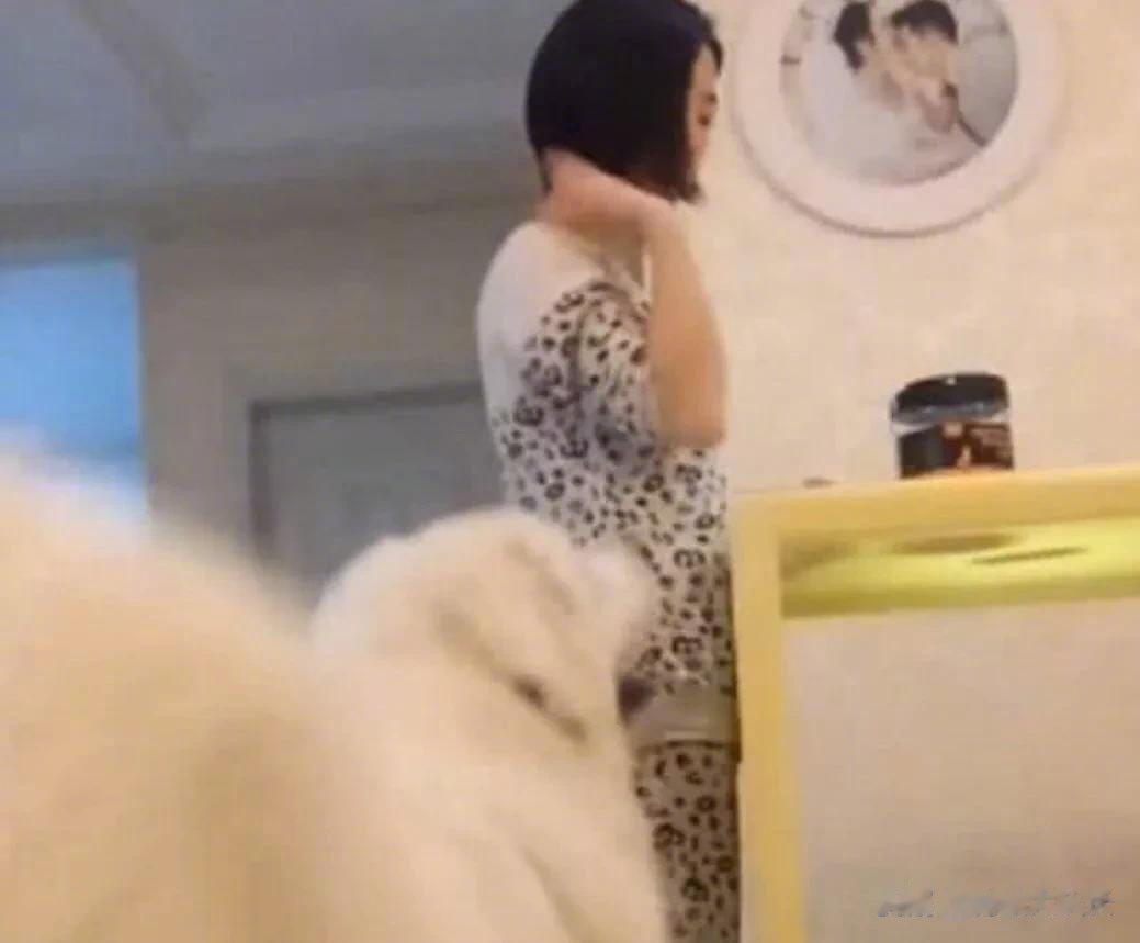 现在的汪星人越来越不像话了，趁着独处的机会，居然学着男主人的样子从后面抱住女主人