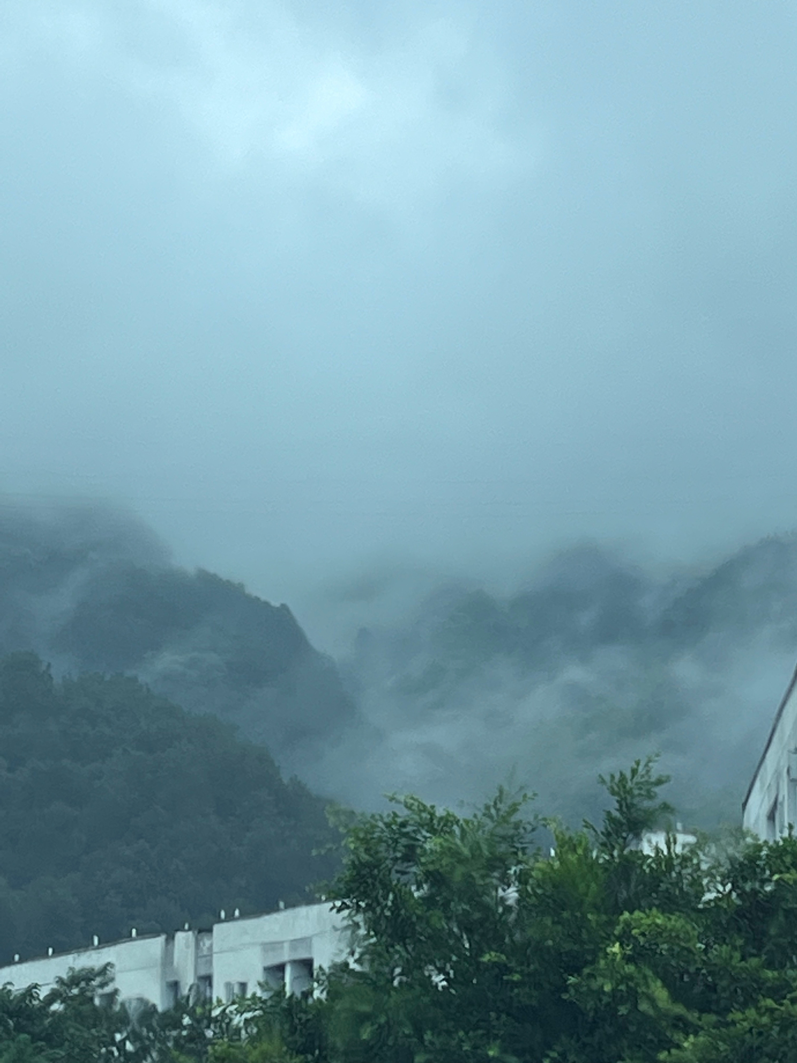 工作  +美女 +帅哥=每天我的生活 ​​​