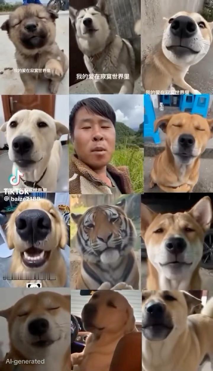 蔡康永已定好上康熙嘉宾[微笑] ​​​