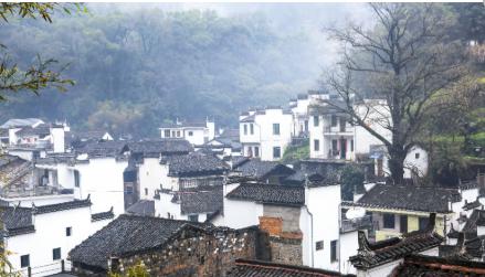 多少分能上安徽电气工程职业技术学院？王牌专业、薪资待遇、发展前景全解析
如果你家