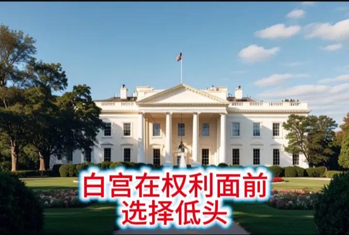 选择低头！
白宫发起的关税战得到反噬。在国内民众因生活成本不断提高被搞得焦头烂额