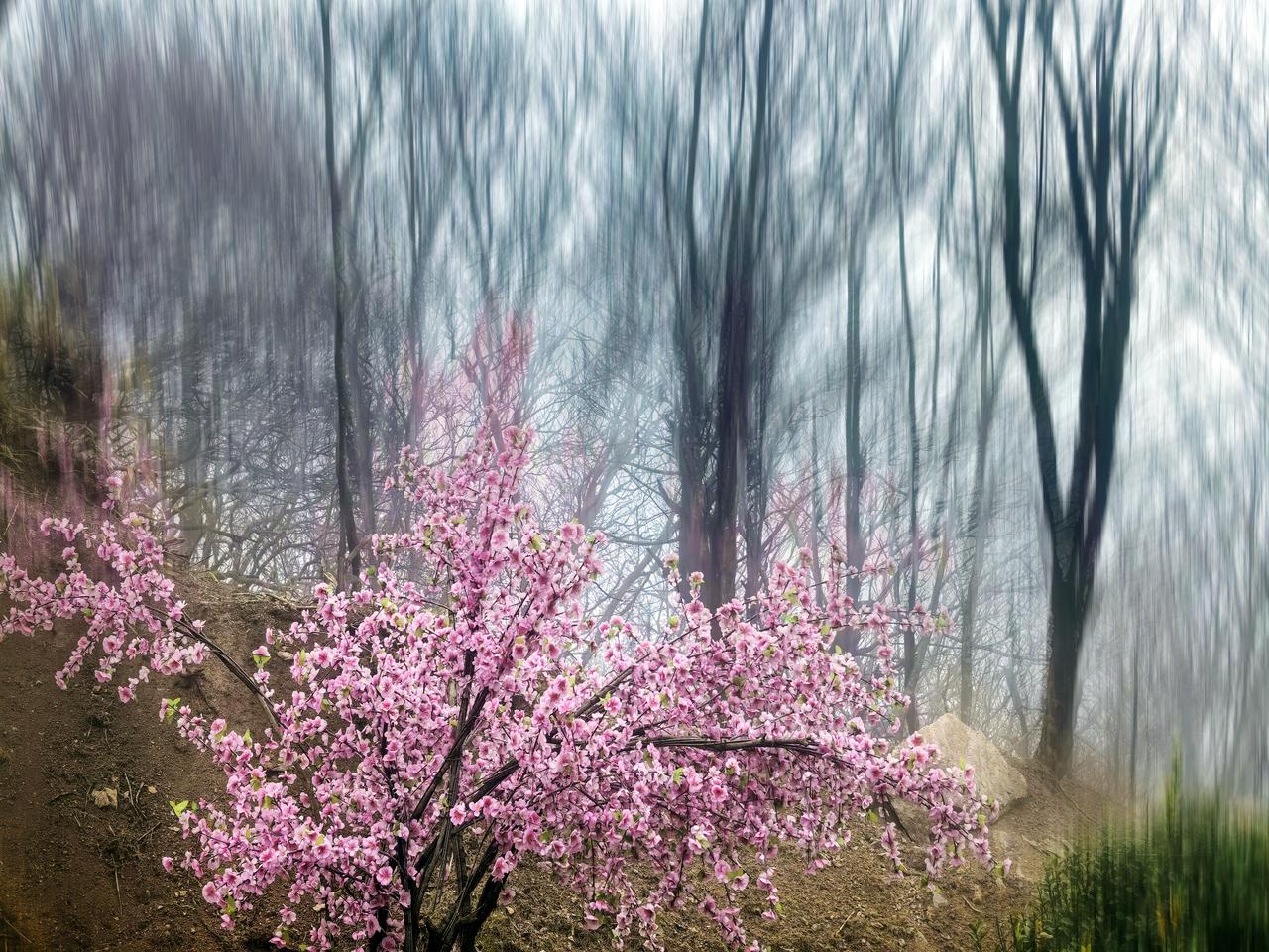 穷在犟和杠。
总爱与人争辩、事事不肯低头，看似争了面子，实则堵了出路。固执己见听