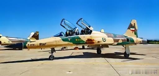 太讽刺！美军武器沦为伊朗利刃，战争初期F-5战机直扑美军阵地
 
美国人这回算是