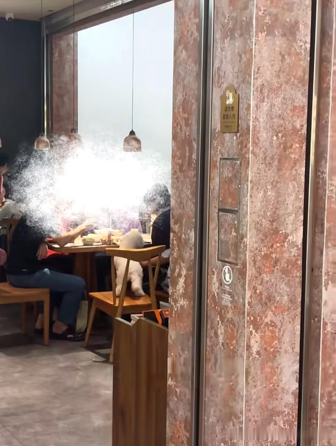 狗上桌，这次轮到小然同學．台灣食堂（佛山顺德万象汇店）了！打脸的是，这家店不是宠