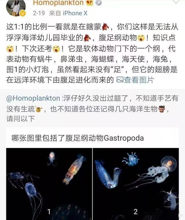低谷期很适合读一读 95后哥大女孩硕士毕业后南极拍章鱼火了的故事。名校硕士不等于