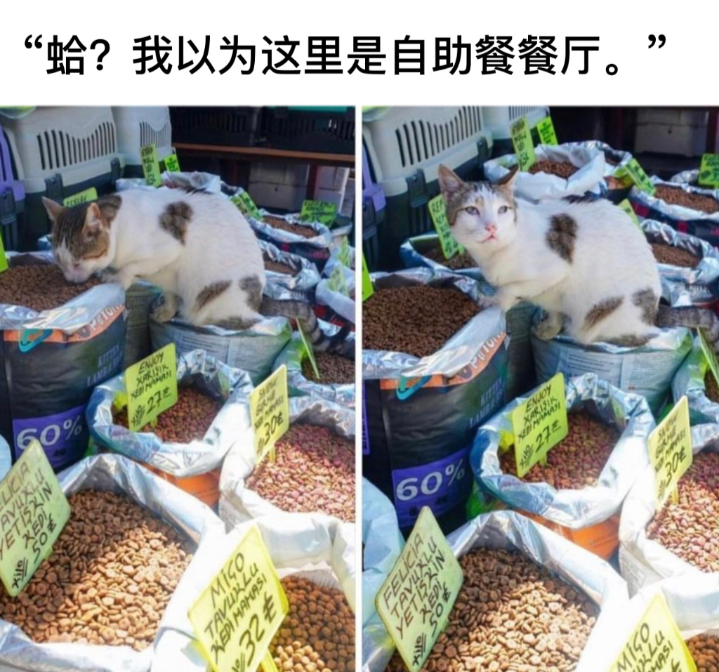 爽吃#今日memes# //#v笑年度大赏# ​​​