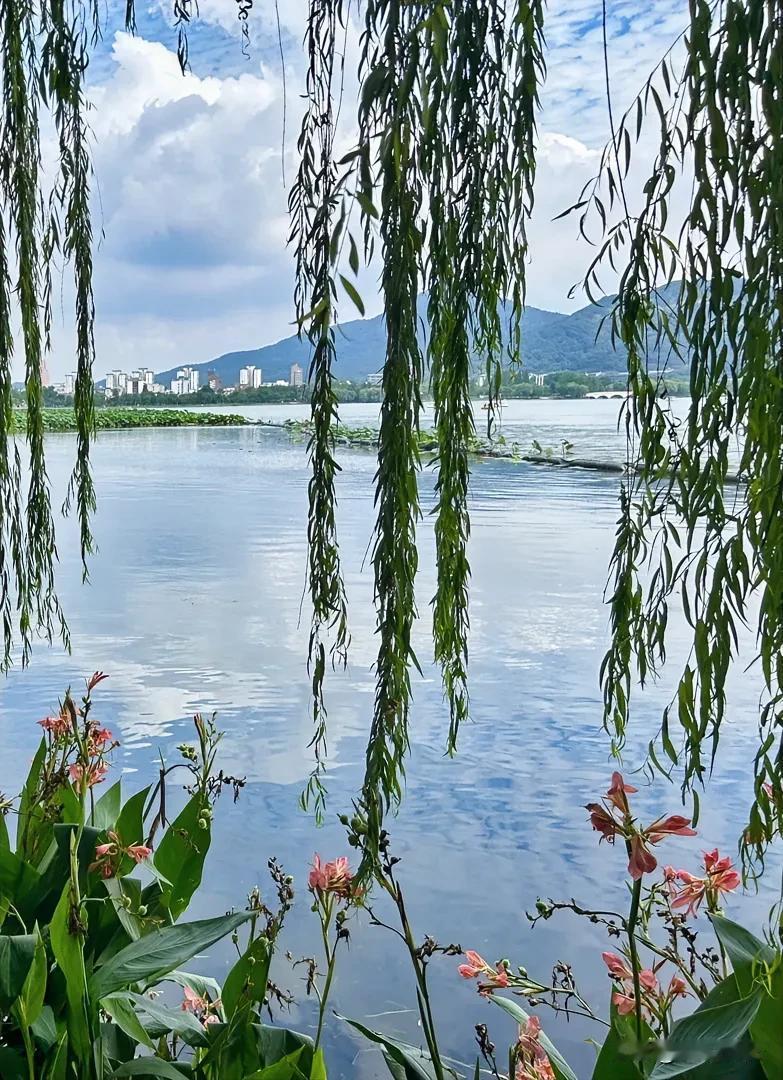 春去秋来，
白云飘飘！
宁静湖面，
安静的心❤️……
#秋日湖畔风光# #美丽如