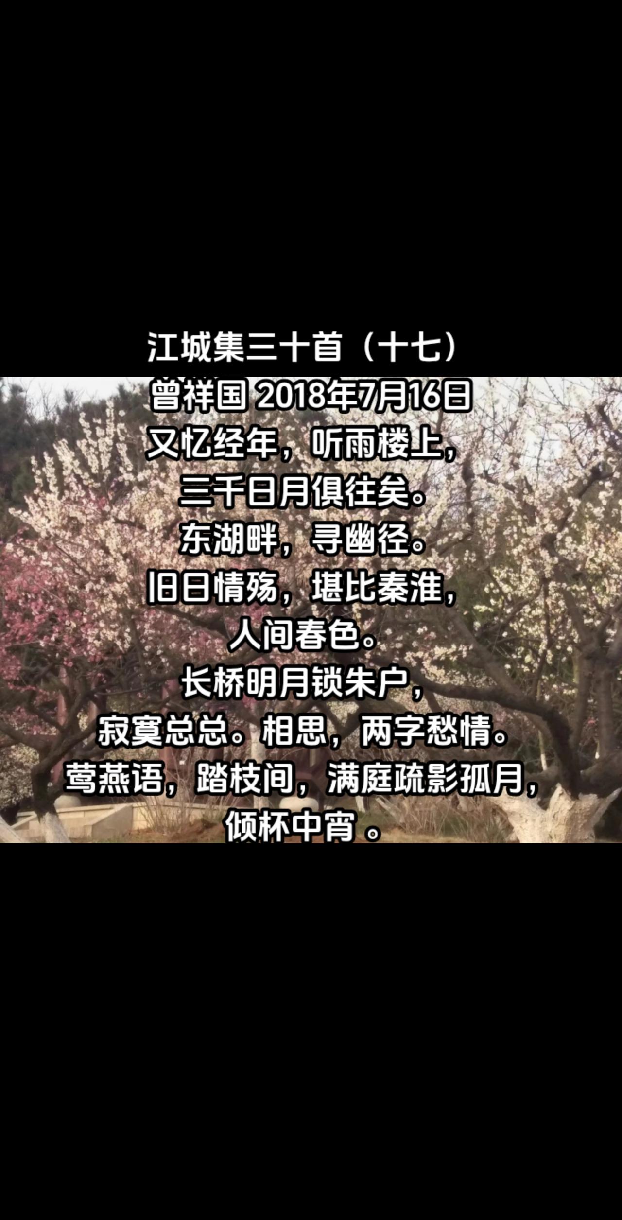 江城集三十首（十七）#写诗是一种生活 #我在等风也在等你 #人面不知何处去 #人