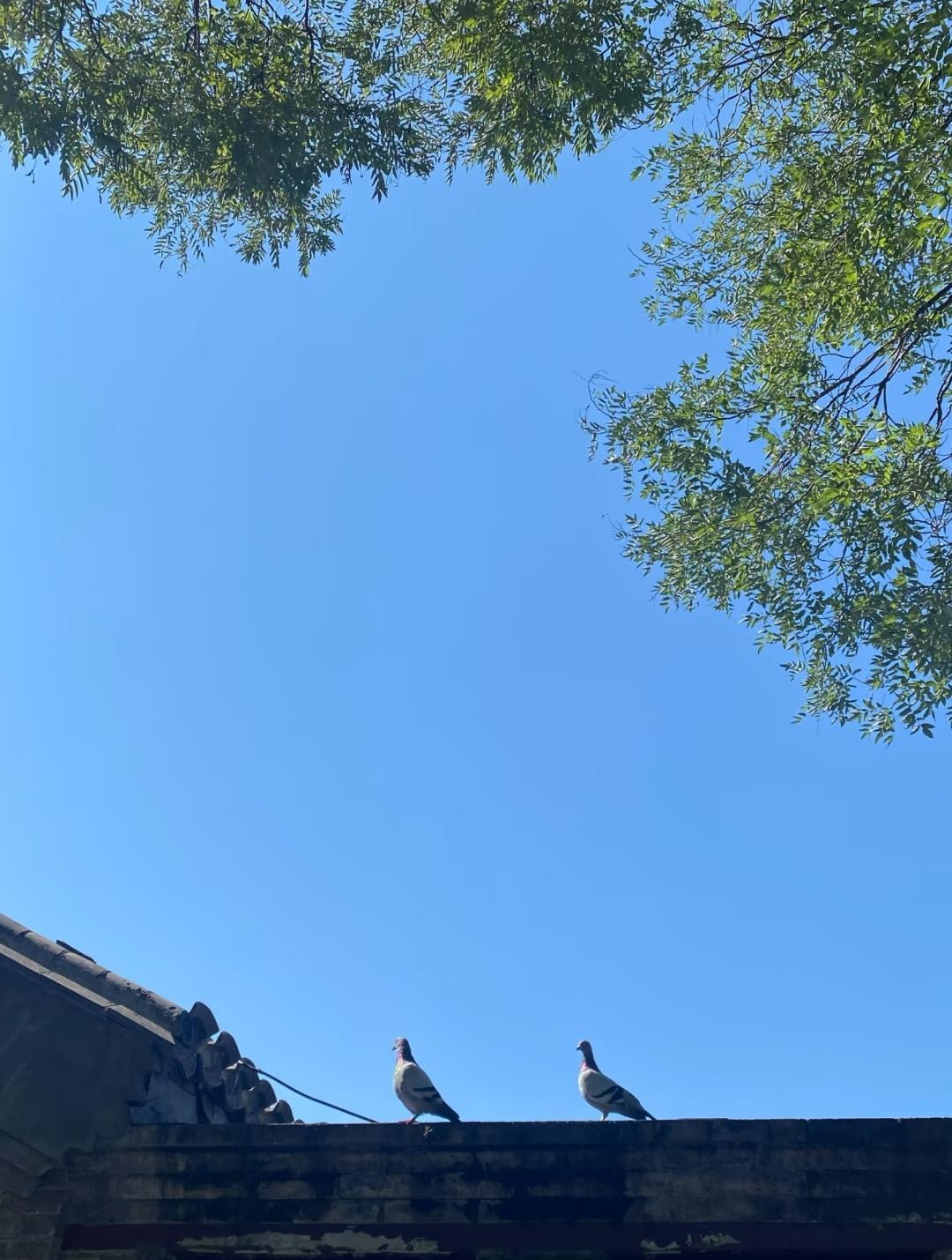 职场中大部分人都是炮灰而已
刚休了一周的假，脑子休息了一段时间，感觉状态闲散了一