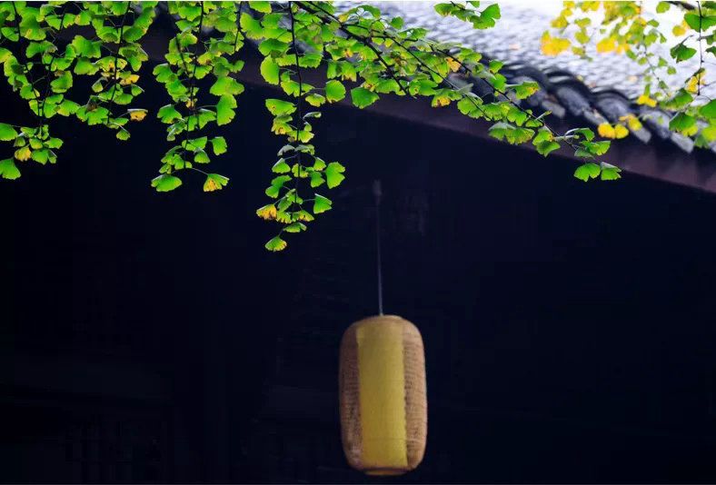 想知道自己做得对不对，如理不如理，如法不如法，首先看一看你看别人是对还是错。经常