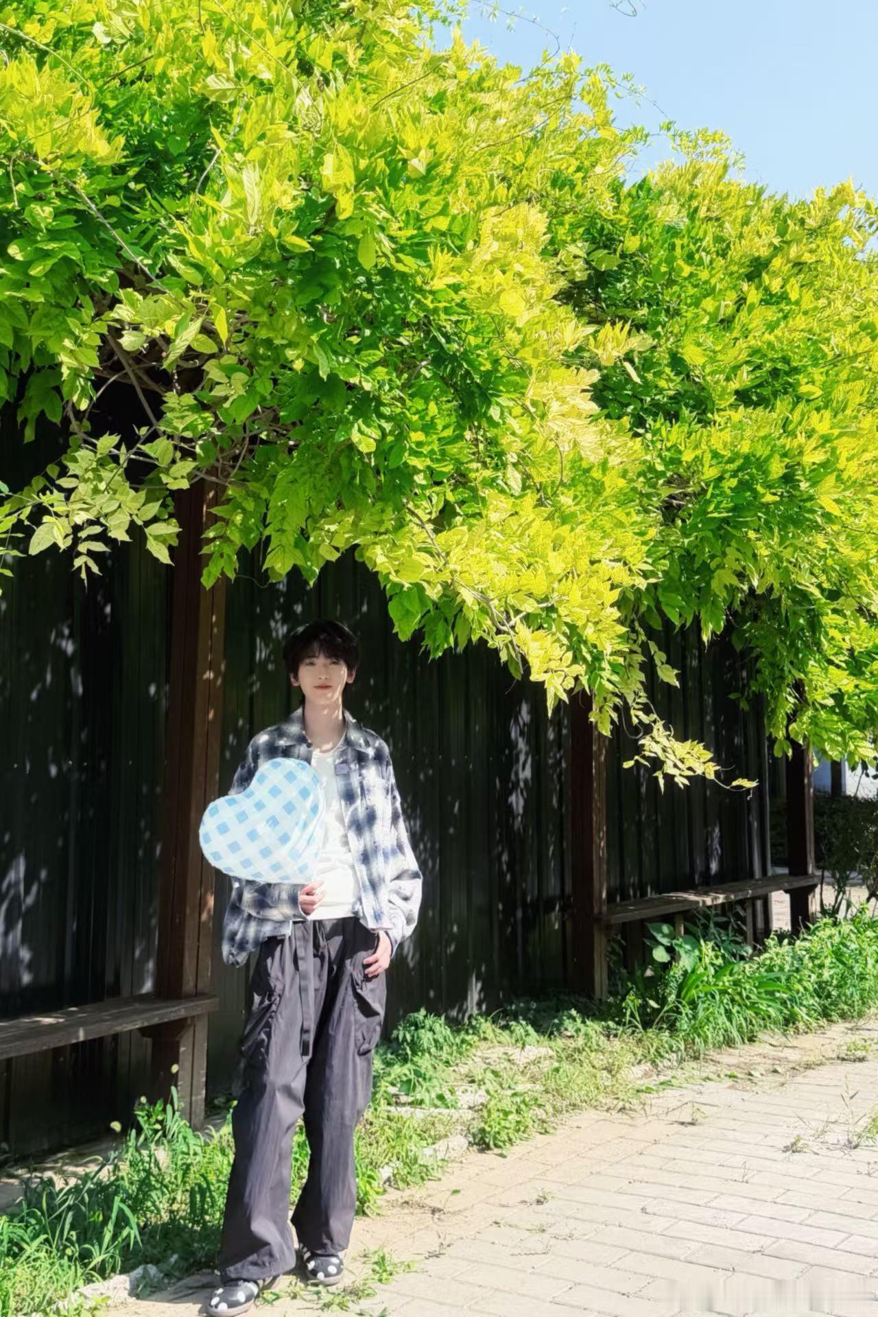 左奇函拿狗尾巴草拍照 刷到这组外景图直接沦陷，微风、野草搭配少年，画面干净又治愈