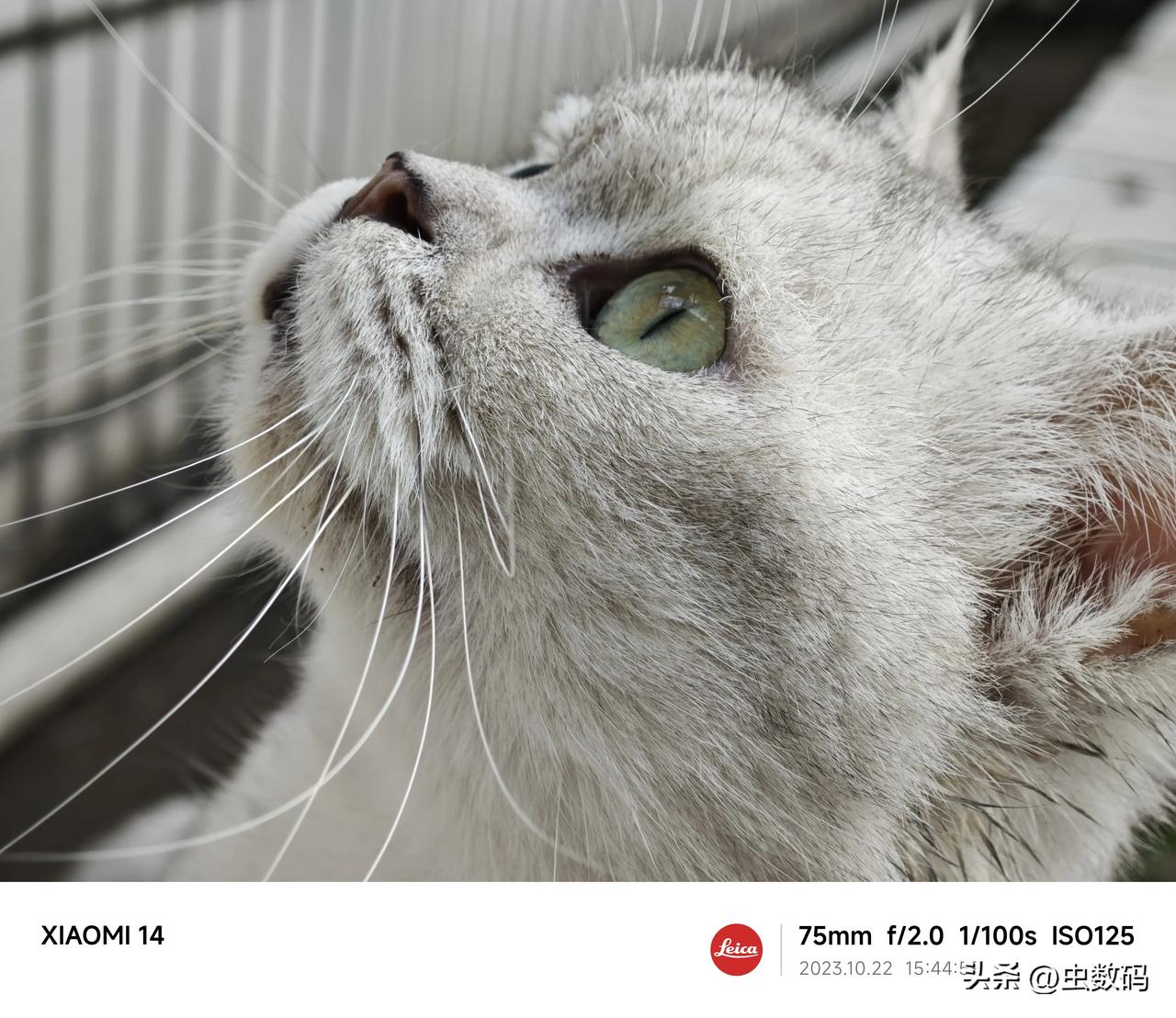 小米13是我这些年用的时间最长的一款手机，虽然，它有不少问题，不如屏幕1080P