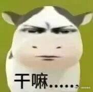 一到春天我的鼻子就这样 唉，一到春天，我的鼻子就成了我的“大麻烦”。不管是花粉还