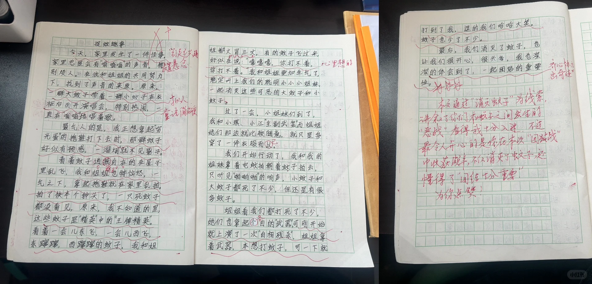 四上五单元习作 《生活万花筒》范文