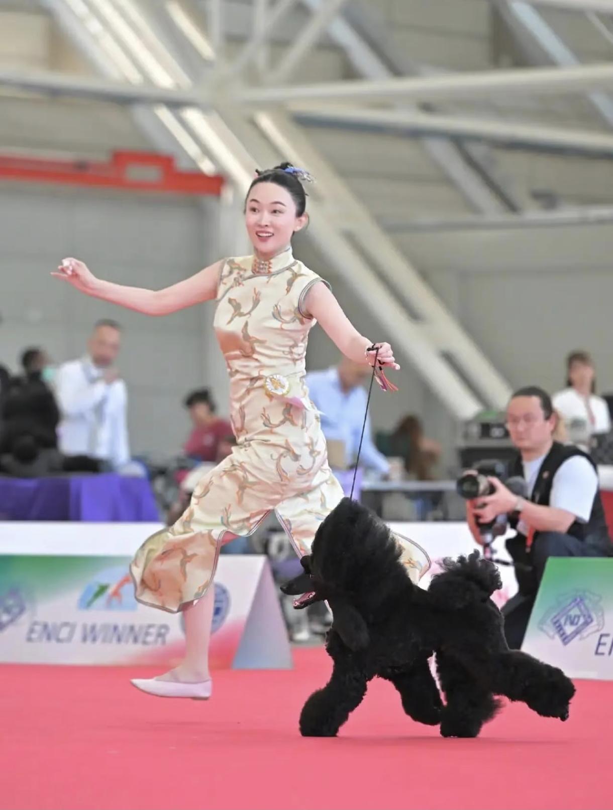 求霍思燕出山救救国足吧
霍思燕家的狗刚拿完冠军，鸟又夺冠了
建议足协连夜派人去霍