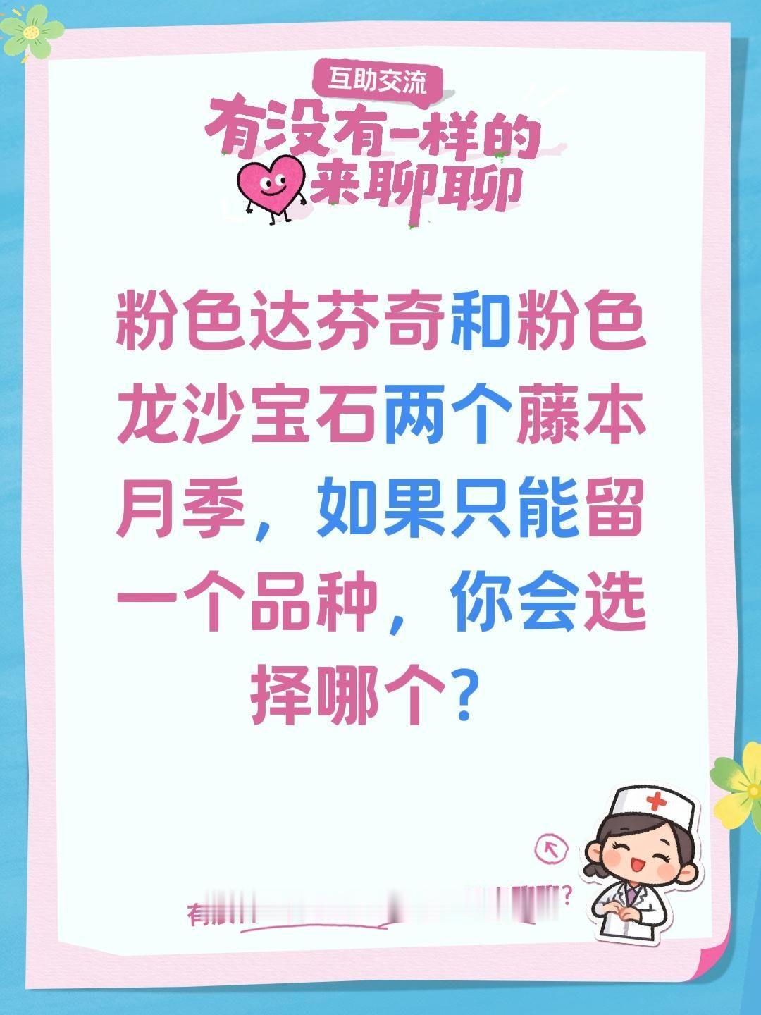 粉色达芬奇和粉色龙沙宝石两个藤本月季，如果只能留一个品种，你会选择哪个？爬藤月季