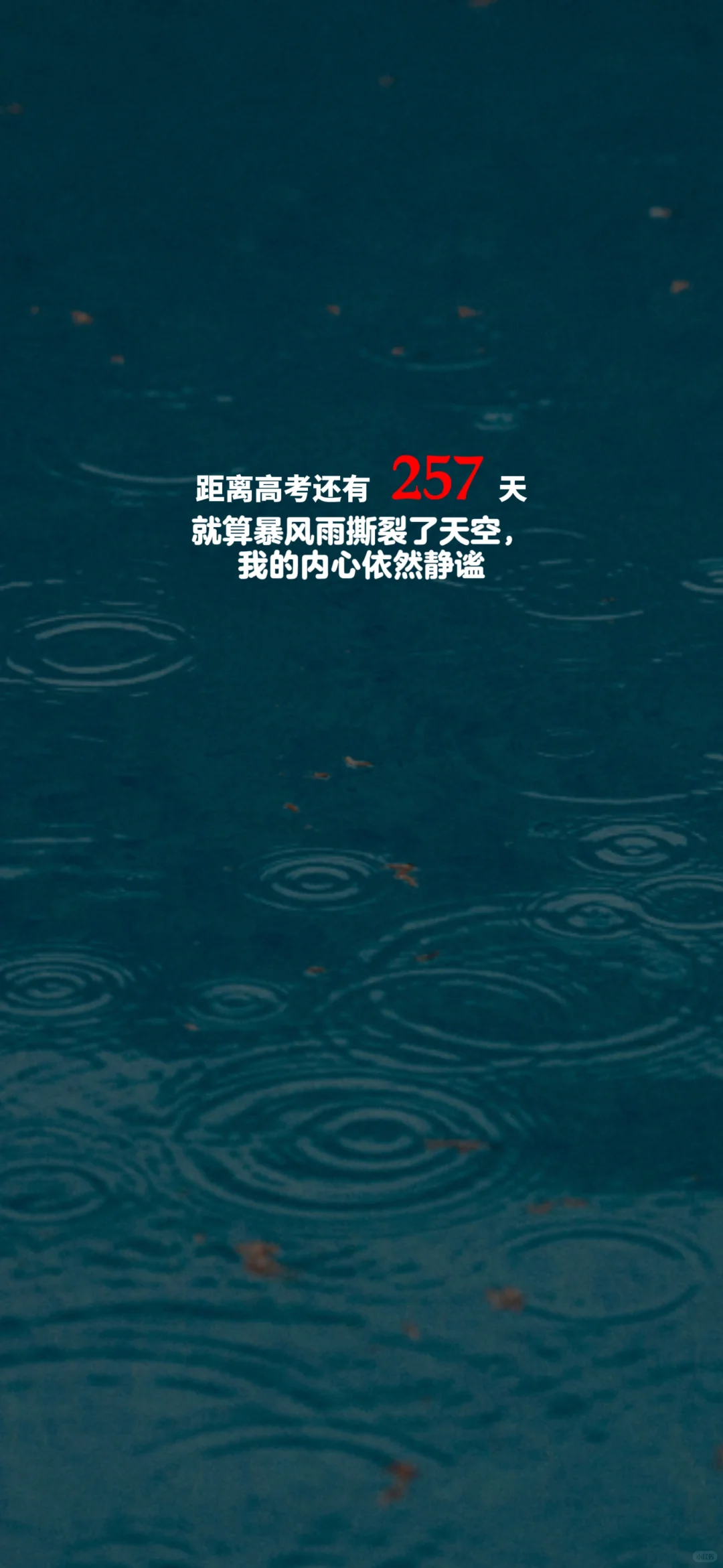 2025高考倒计时，每日更新。