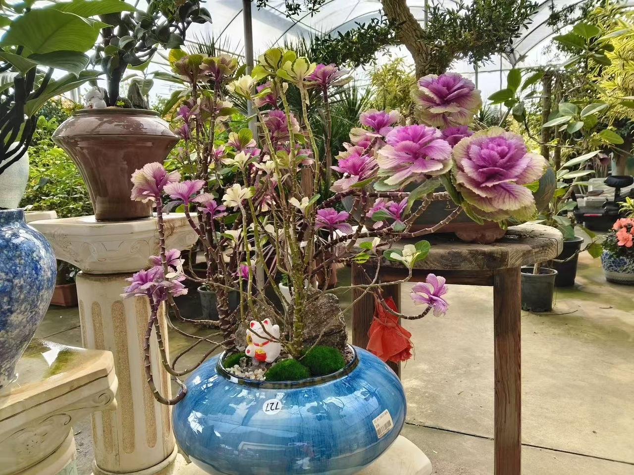 这些年自己的变化 这些年，我变化还挺大。以前性子急，碰到问题就像热锅上的蚂蚁，现