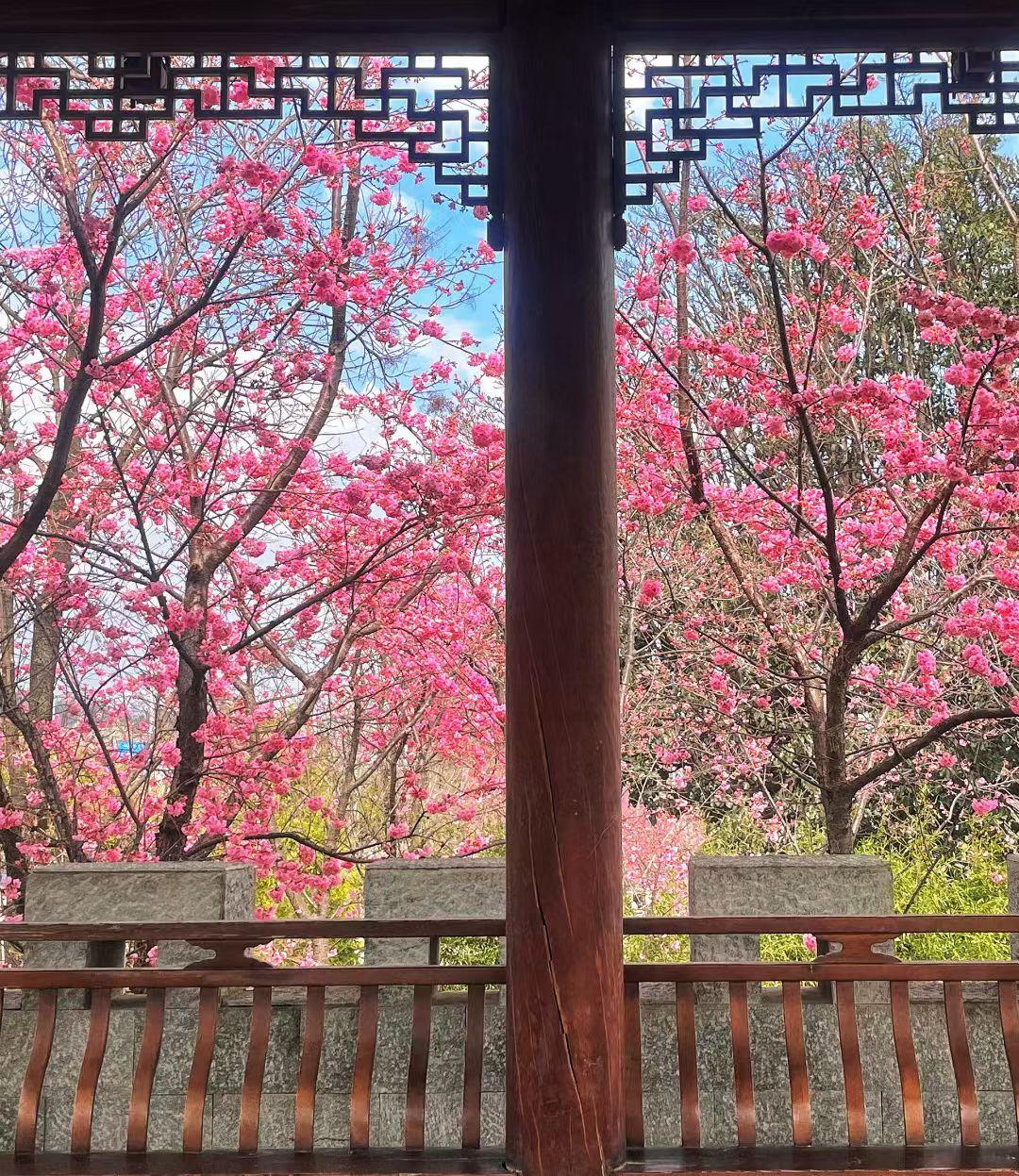 最深刻的话：“交配这件事情本质上是消耗，动物交配之后虚弱甚至丧命，这是明证。人的