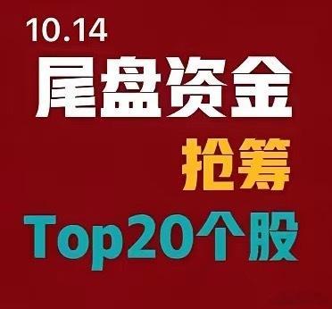 2026年10月14日 A股尾盘最后30分钟资金抢筹前20名：1. 郑州煤电｜尾