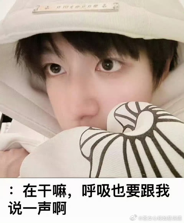 来今日份的站姐数据，太少了，起码要500转，3k内赞来做一下1️⃣网页链接2️⃣