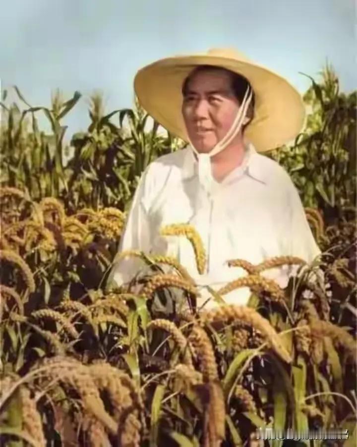 人民领袖，风清气正！