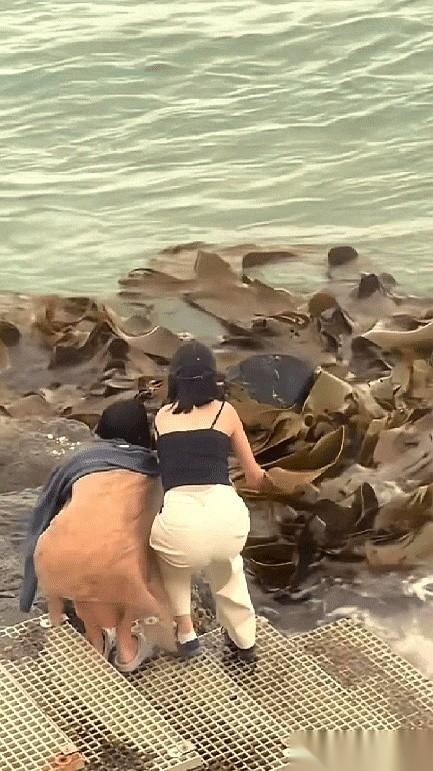 大海送来的礼物，还真不是谁都能收的。
那俩姐们儿当时肯定乐疯了，眼瞅着一大片又肥