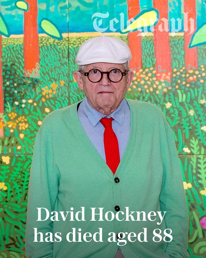 英国艺术家、20世纪最具影响力的画家之一大卫·霍克尼（David Hockney