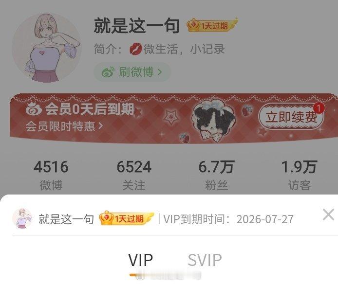 微博Vip到期了，最近钱包瘪了不续了，意味着关注不了你们了，别私信让我关注你了