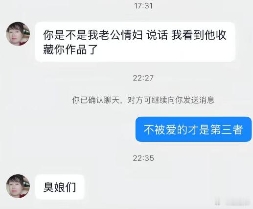 不被爱的才是第三者迷惑图