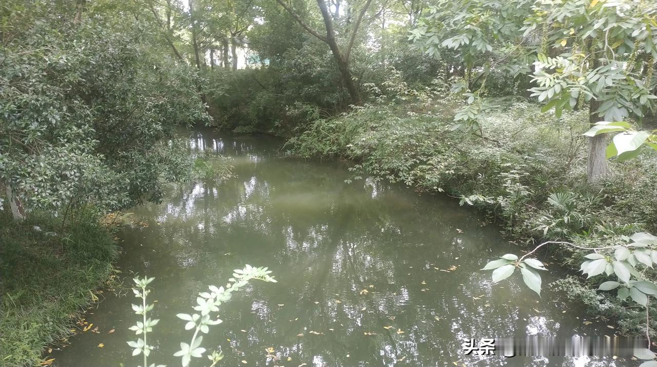 #夏季日常随手拍#