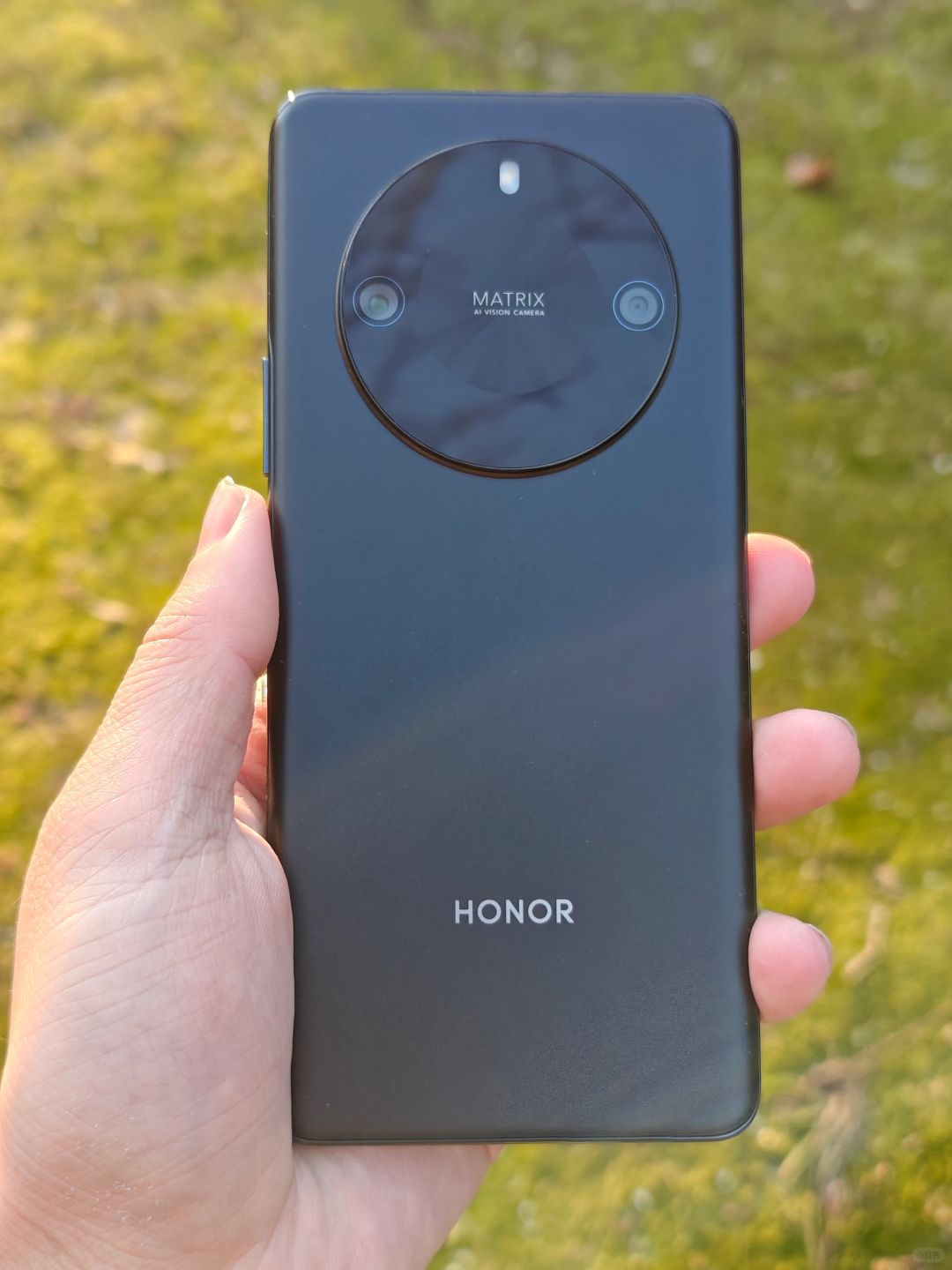 不止有砸核桃，还有记录生活的日常！