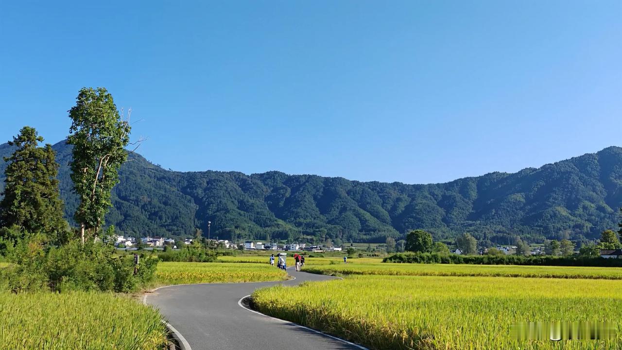 帮我点评
妈妈做的菜
中秋节
过年
都会想