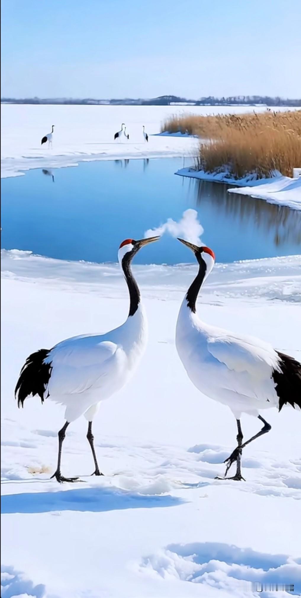 上联：冰天雪地送冬去，
下联：山河焕彩迎新岁。
下联：万物复苏迎春归。