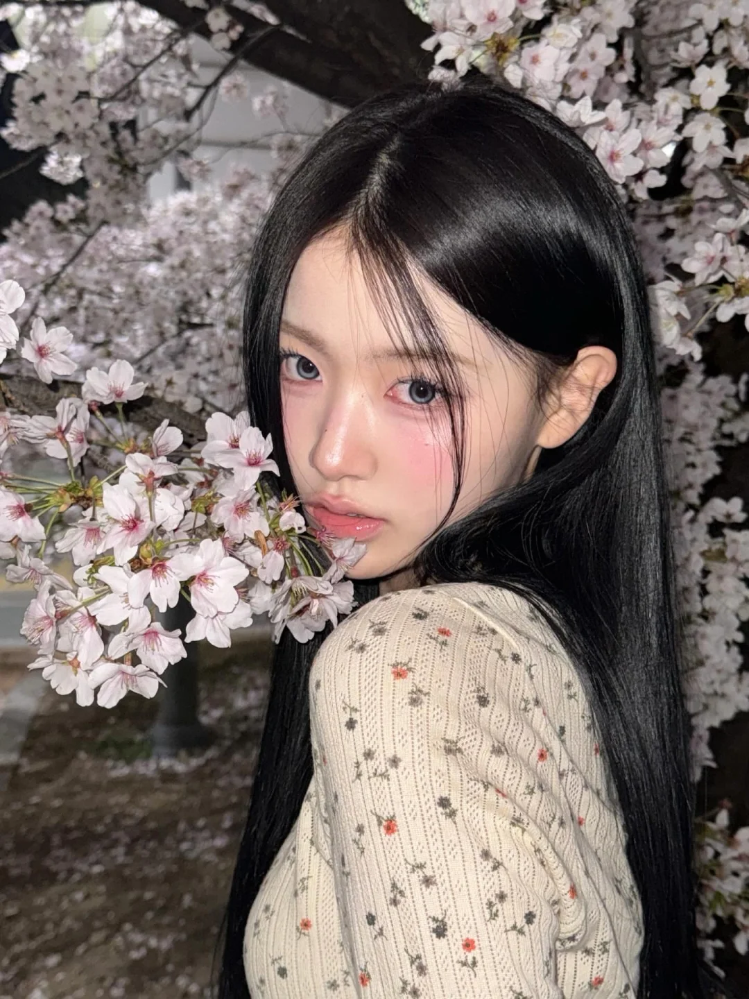 ins博主｜樱花季🌸~