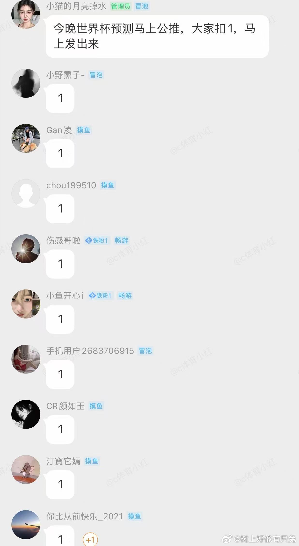 又红红红啦，昨天也是拿捏法国成功啦！今晚世界杯4/1决赛你们怎么看呢？需要这场开
