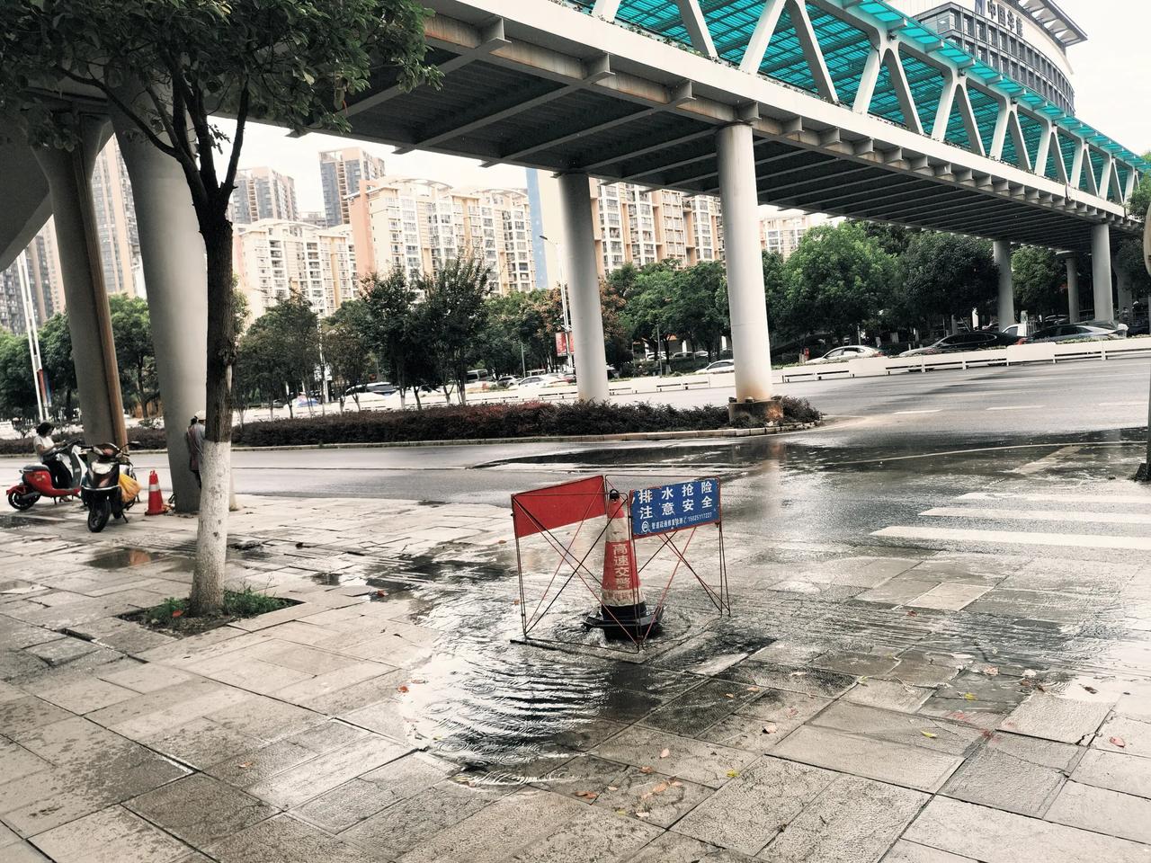 广福路上世纪城小区边上的人行天桥下这里，附近好几个这种地下往上面冒水的点，而且还