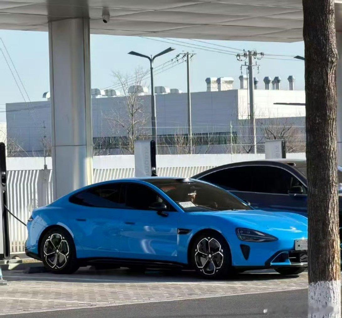 新一代SU7的卡布里蓝像不像奥迪A3的这个鹦鹉蓝新一代SU7