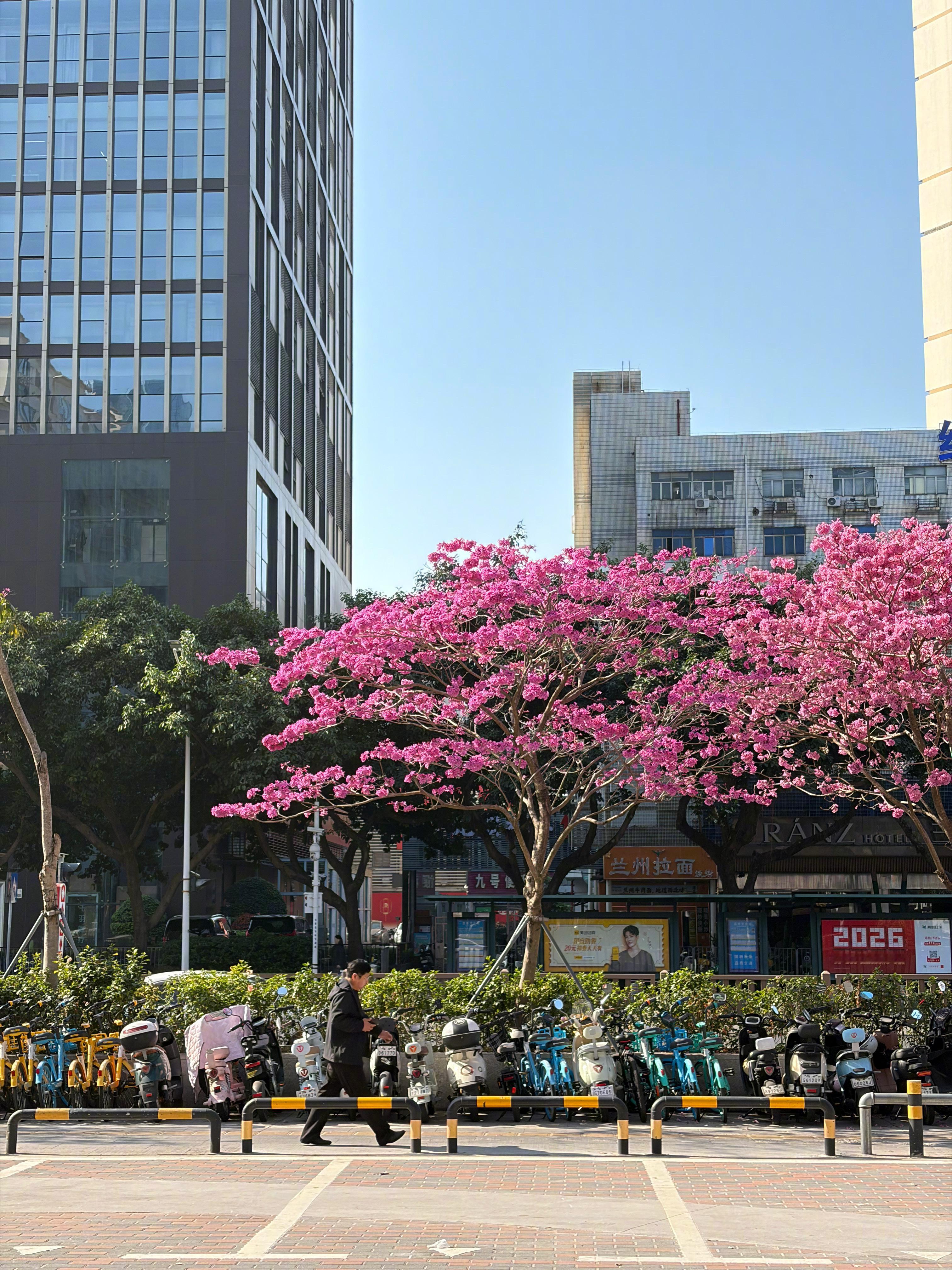 一直听说深圳南油服装很知名，来深13年第一次到这，款式品类真的超多，问了一圈新中