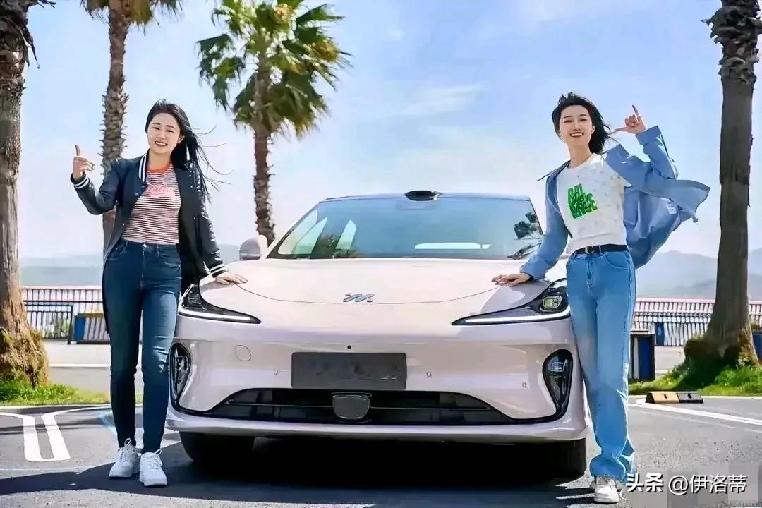 外媒称中国车企的路已经走偏了：
中国车——不致力于发动机研发
中国车——不专注于