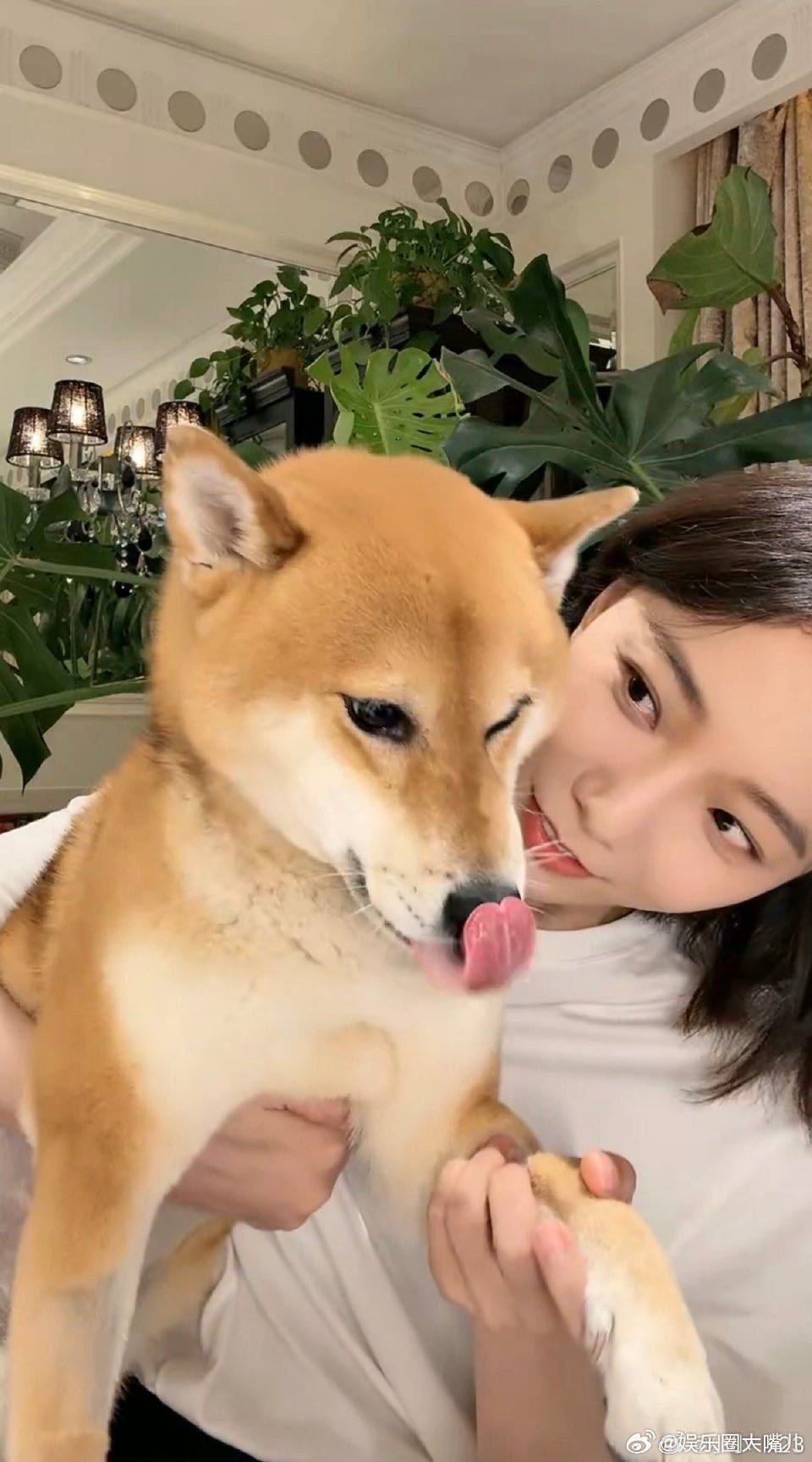 王珞丹用自己的表情包概括浪姐体验 谁懂啊！王珞丹直播时突然掏出粉丝做的表情包，笑