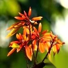 26岁，第六次被“退货”。
就在新婚当晚，她又一次被丈夫从床上踹了下来。原因还是