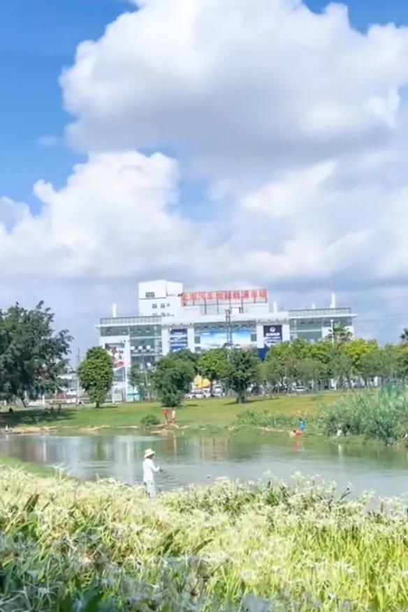 城市中的宁静一隅：公园与现代建筑的和谐共存拍一张城市美景 城市风景一角！ 拍拍城