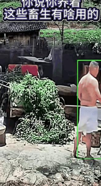 男子常年悉心饲养一条大狗，可今天不知道什么原因，狗狗就窜出来咬了男子。
 
养了