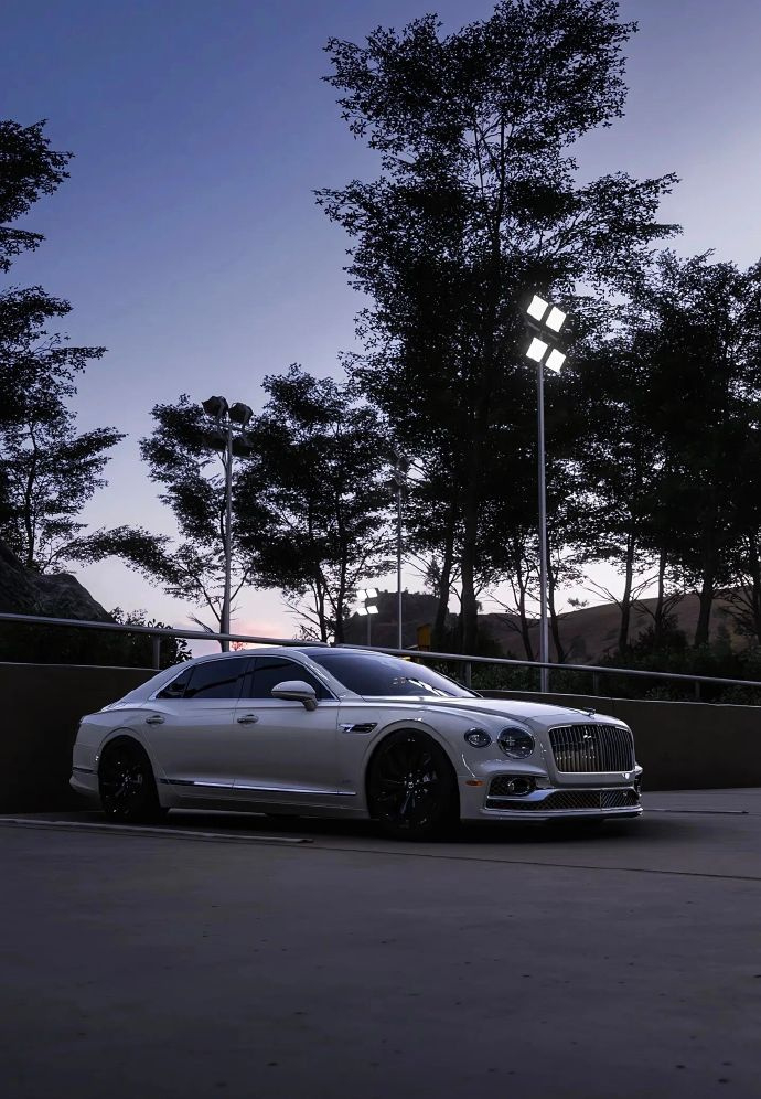 真心觉得宾利飞驰是最优雅的D级轿车！比古思特灵动、比迈巴赫S沉稳，气质拿捏得恰到